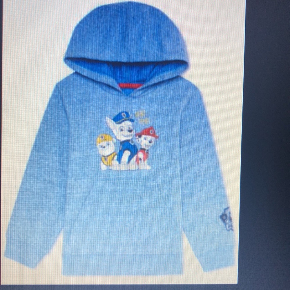 Nickelodeon Toddler Boys Paw Patrol Hero Time Hoodie Sweater